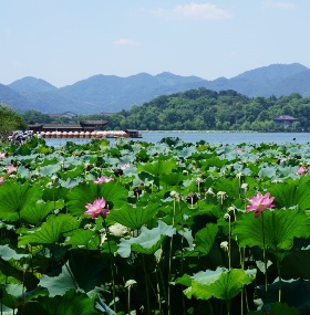 3-Day Shanghai to Hangzhou tour