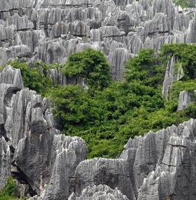 1-Day Trip to Kunming(The Stone Forest. )
