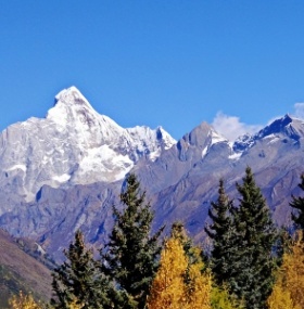 Panda & Mount Siguniang Tour