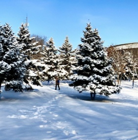5-Day Harbin Beautiful Tour(Visa Free)