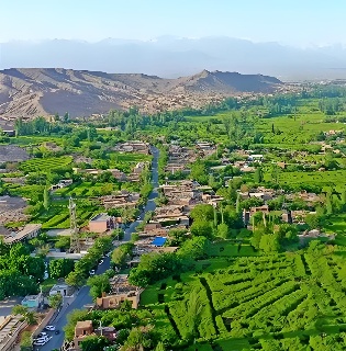 Grape Valley