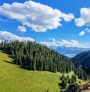 Nalati Grassland