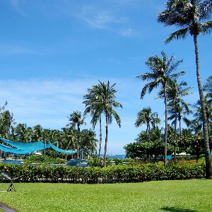 Sanya: A Tropical Paradise for Unforgettable Family Travel