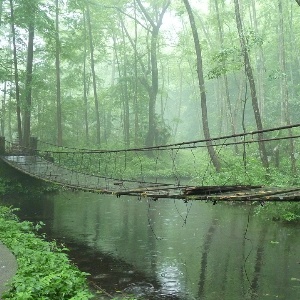 Zhangjiajie National Forest Park: A Breathtaking Hiking Destination