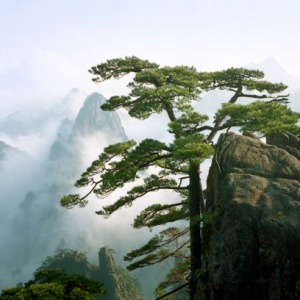 Mount Huangshan: A Timeless Destination for Return Visitors