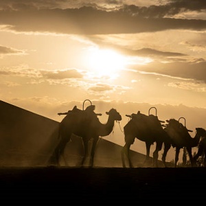Silk Road (Gansu & Qinghai): A Journey Through History and Culture for Return Visitors