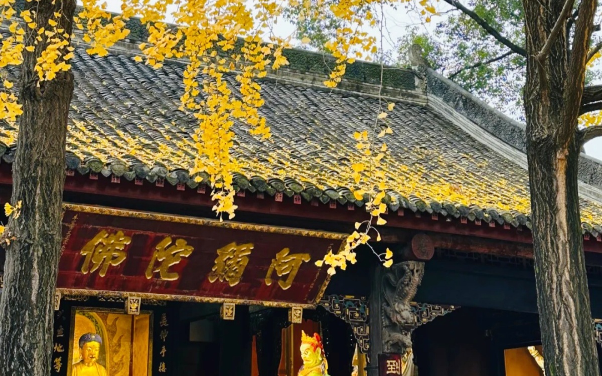 День 9: отъезд из Чэнду