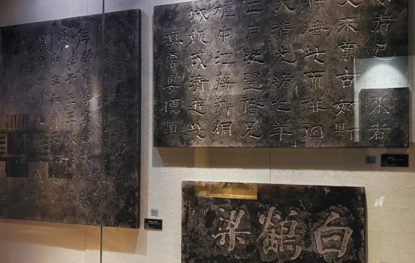 Package B:Underwater Museum+River Gallery+Gongtan Ancient Town&Wujiang Art Museum(Best for Culture&Scenery)
