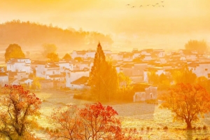 Huangshanの特長_2