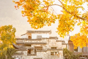 Huangshanの特長_3