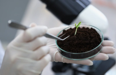 Основные площадки CIIE