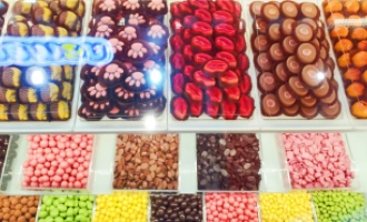 All Food Expo의 주요 장소