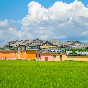 ダリと麗江旧市街ツアー