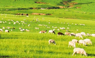 Mongolie intérieure_0