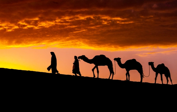 Legendary Silk Road 13-Day Tour