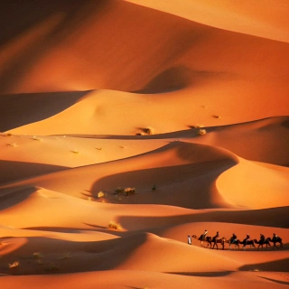 伝説のシルクロード13日間ツアー