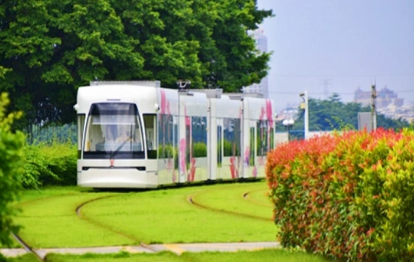 広州シンセン 6日間ツアー