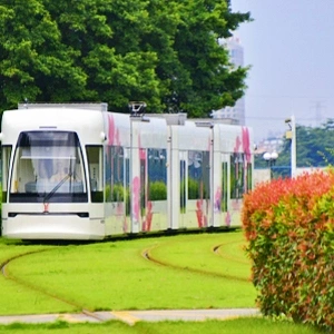 広州シンセン 6日間ツアー