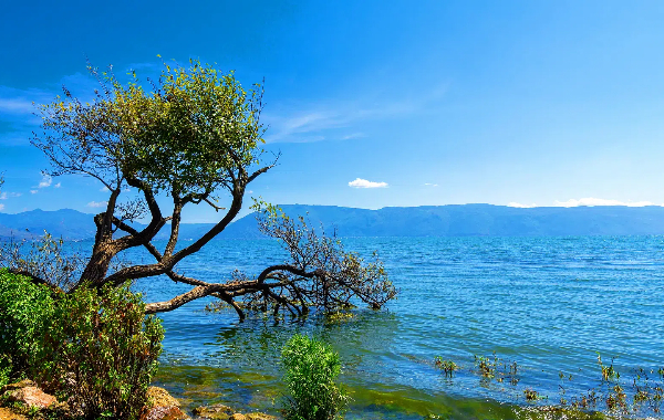 День 3: Дали