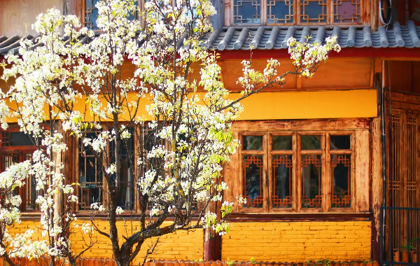 День 5: Лицзян