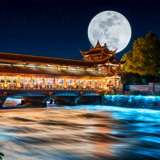 모든 청두 투어 패키지