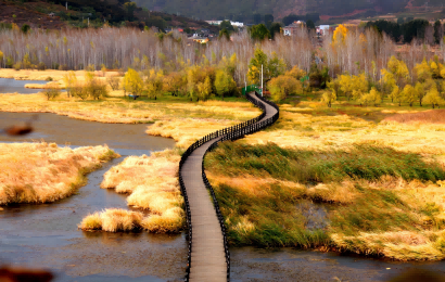 シャングリラツアー