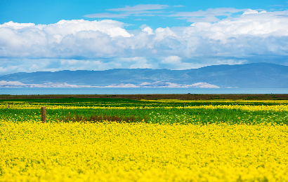3-дневная поездка в Цинхай
