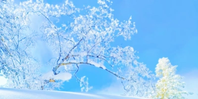  Jour 7 : Ville de la neige