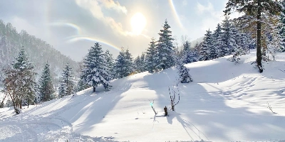  Jour 7 : Ville de la neige