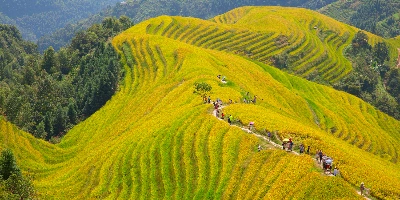 День 3: Гуйлинь