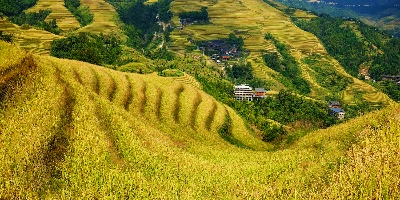 День 4: Гуйлин