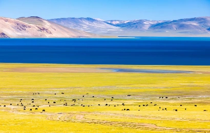 6日間チベットツアー