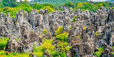 일 2: 쿤밍 달리