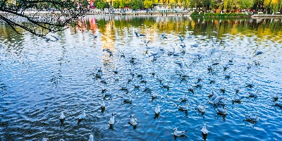 일 2: 쿤밍 달리