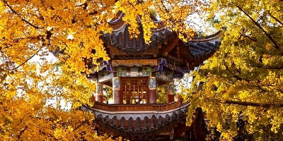 일 2: 쿤밍 달리