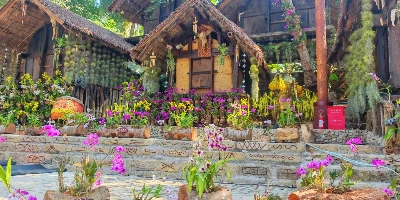 اليوم 2: سانيا