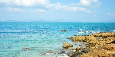 اليوم 4: سانيا