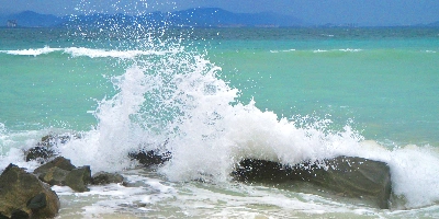 اليوم 4: سانيا