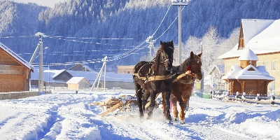 Tag 1: Harbin Ankunft