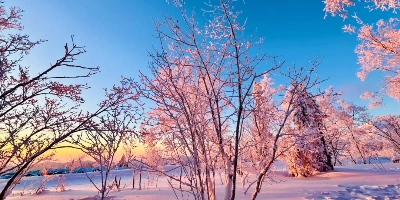 Tag 2: Harbin&Departement