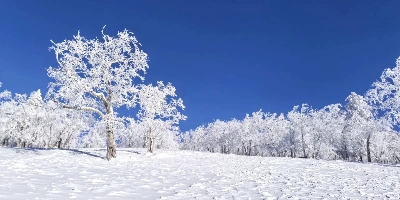 Tag 2: Harbin&Departement