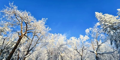 Tag 2: Harbin&Departement