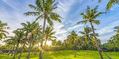 День 3: Санья-Лингшуй