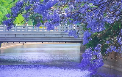 雲南ストーンフォレスト&テラスツアー