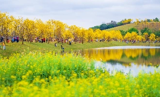 Day 5 : 난닝 (출발)