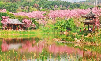 Day 5 : 난닝 (출발)