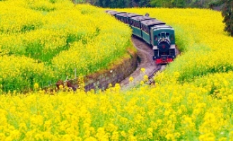 日 2: 成都 - Leshan