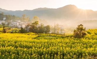 4日目: 呉元 – 上海