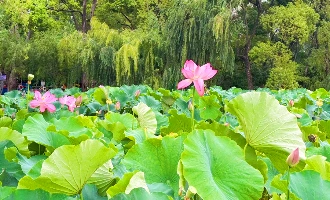 15日目: 昆明出発