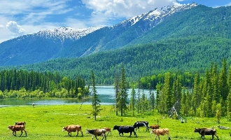 5日目:カナス湖